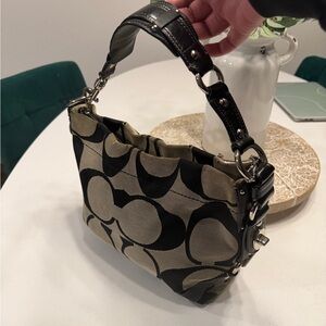 Coach Carly Medium Hobo Bag